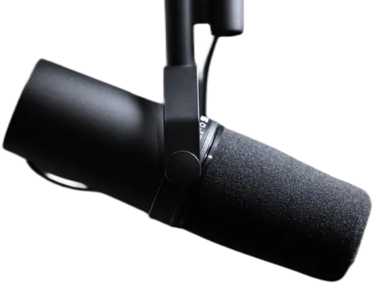 mic
